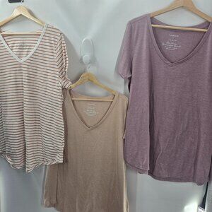 Torrid Bundle of 3 Classic Fit V-Neck Beige Purple Striped T-Shirts 1/1X